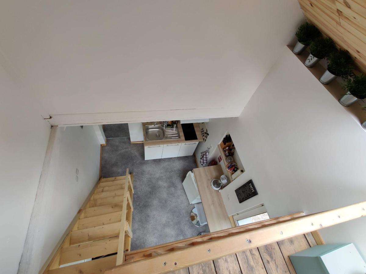 Studio Mezzanine Chez Papou, Ville et Forêt Estrasburgo Exterior foto
